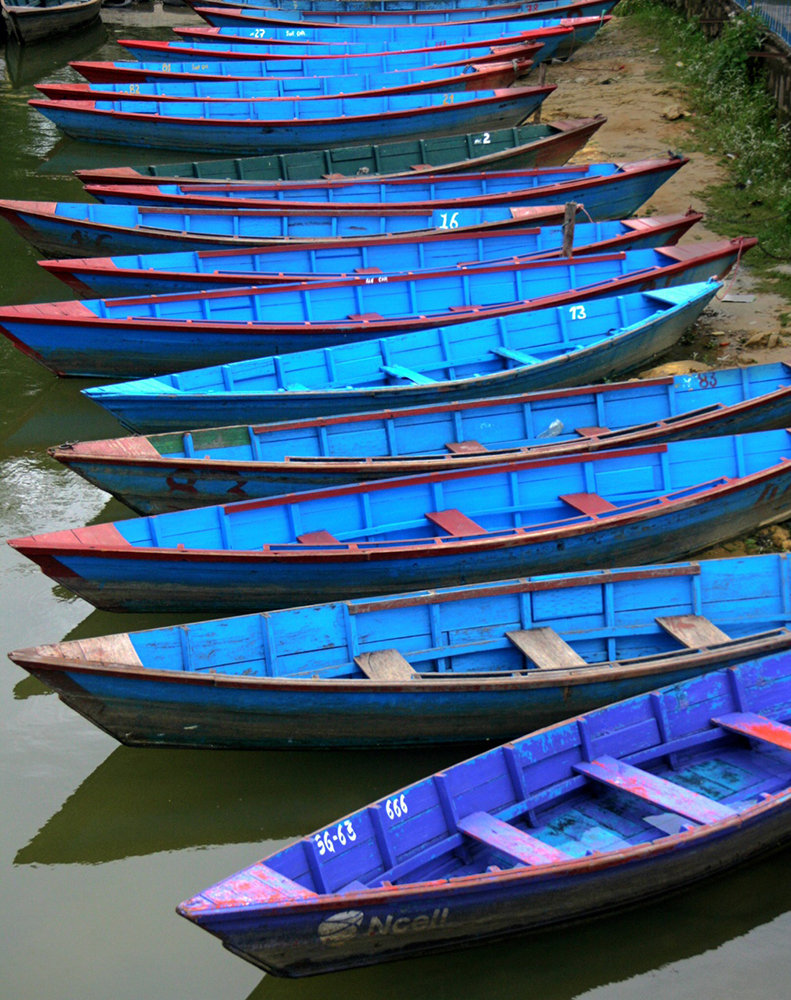 Lots of blue and red row boats
