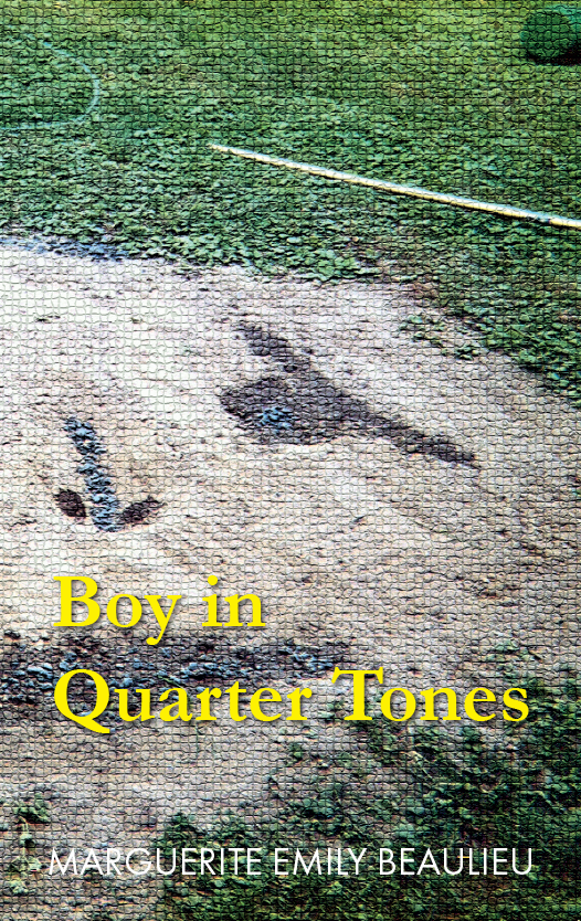 Boy in Quarter Tones cover image